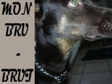 bru-brut